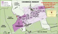 Chambolle-Musigny 