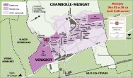 Chambolle-Musigny, Côte de Nuits