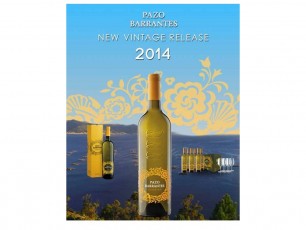 The 2014 Pazo has arrived!