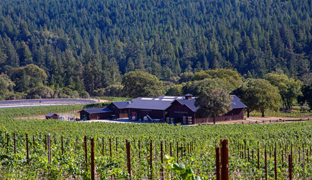 New Californian Wines to MMD portfolio