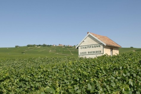 Roederer Awarded Second Place in Drinks International List: “The World’s Most Admired Champagne Brands”.