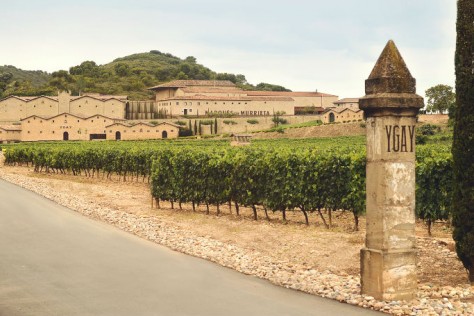 Rioja 2015 Vintage Report