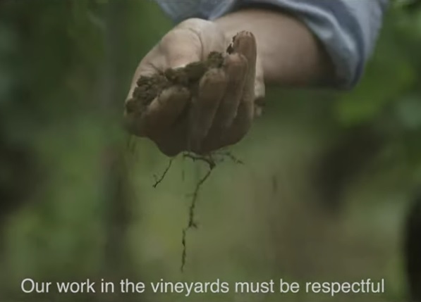 Champagne Louis Roederer releases its official video