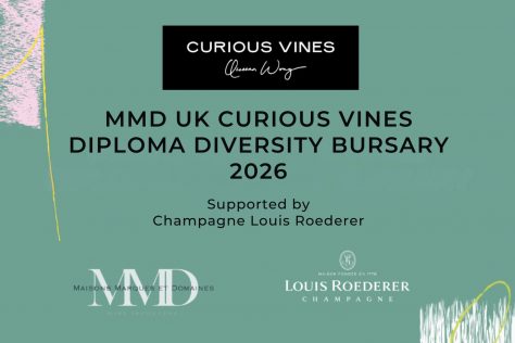 MMD UK X Curious Vines Diploma Diversity Bursary 2026