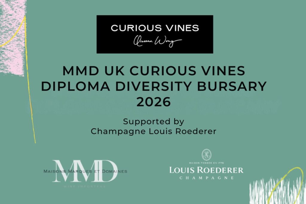 MMD UK X Curious Vines Diploma Diversity Bursary 2026