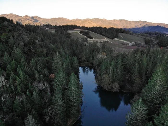 Diamond Creek Lake and Property