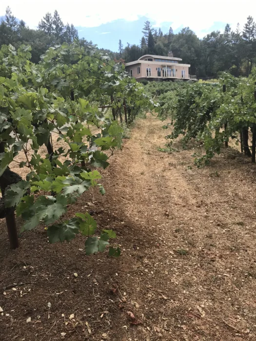 Diamond Creek Red Rock Terrace and Winery