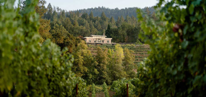 Diamond Creek estate