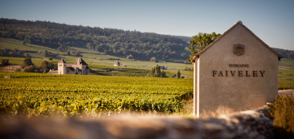 MMD_Faiveley_vineyard