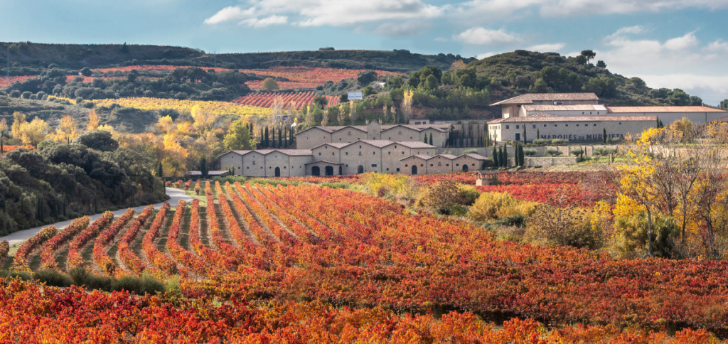 MMD_Murrieta_vineyard