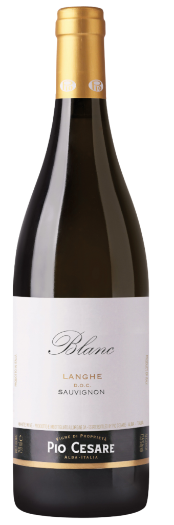 Pio Cesare Blanc Langhe Sauvignon 2024