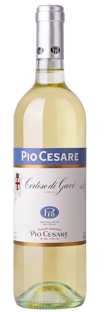 Pio Cesare Gavi 2025
