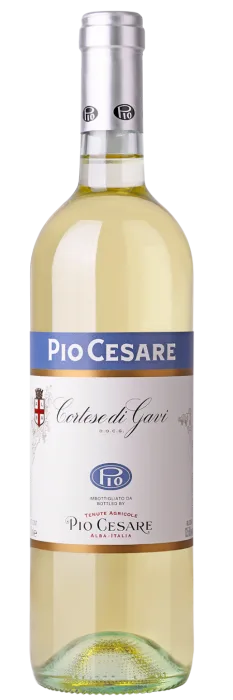 Pio Cesare Gavi_featured_image
