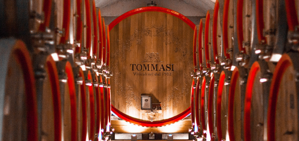 Tommasi winery