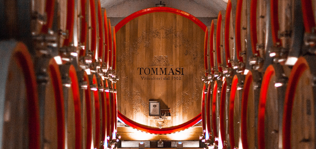 Tommasi winery