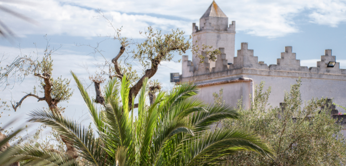 Masseria Surani estate
