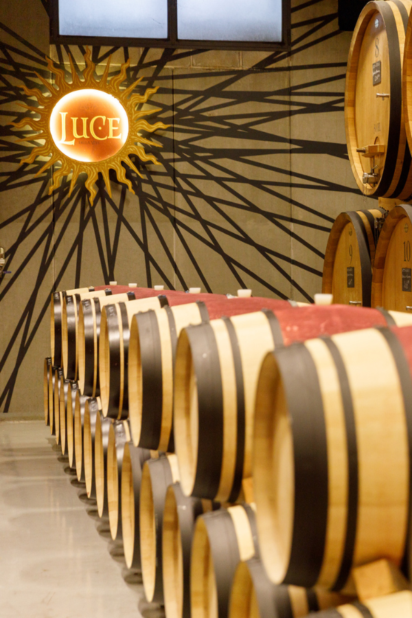 MMD_Luce_potrait_winery